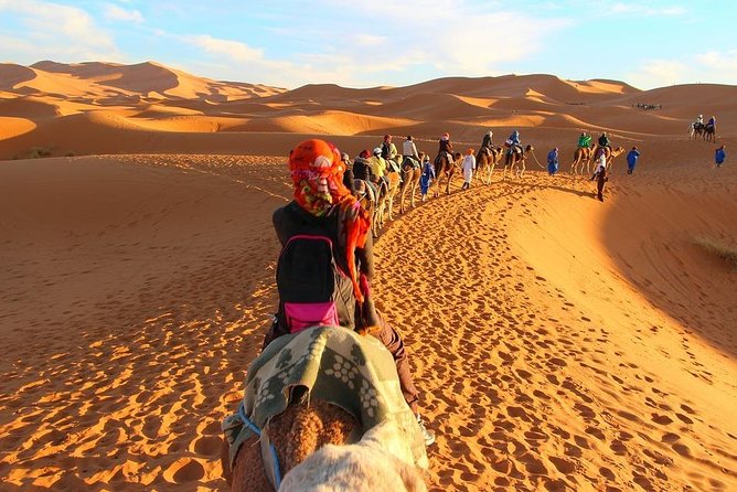 Private Fez to Marrakech Via Merzouga desert tour 3days - Day two: Rissani, Todra Gorges, and Kelaat Mgouna