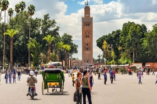 Private Marrakech Day Trip from Casablanca with Free Camel Ride - A big Marrakech day from Casablanca