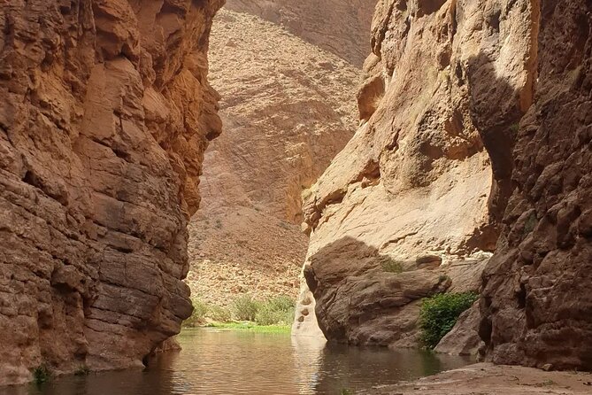 Private Monkey Fingers Canyon Hike - Tea, shepherds, and optional local experiences