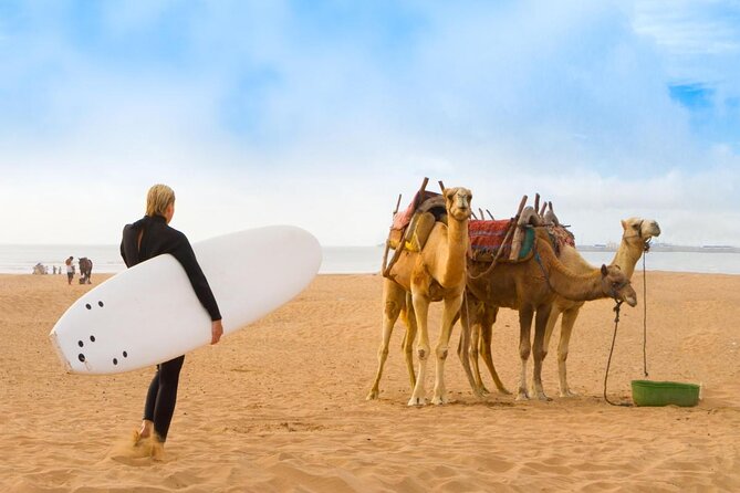 Private Surf Lessons - Key points to know before you book