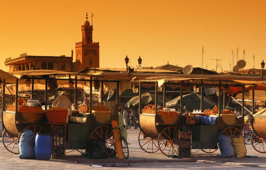 Private Tour: Half-Day Sightseeing Tour of Marrakech - Why this tour works well on your first day