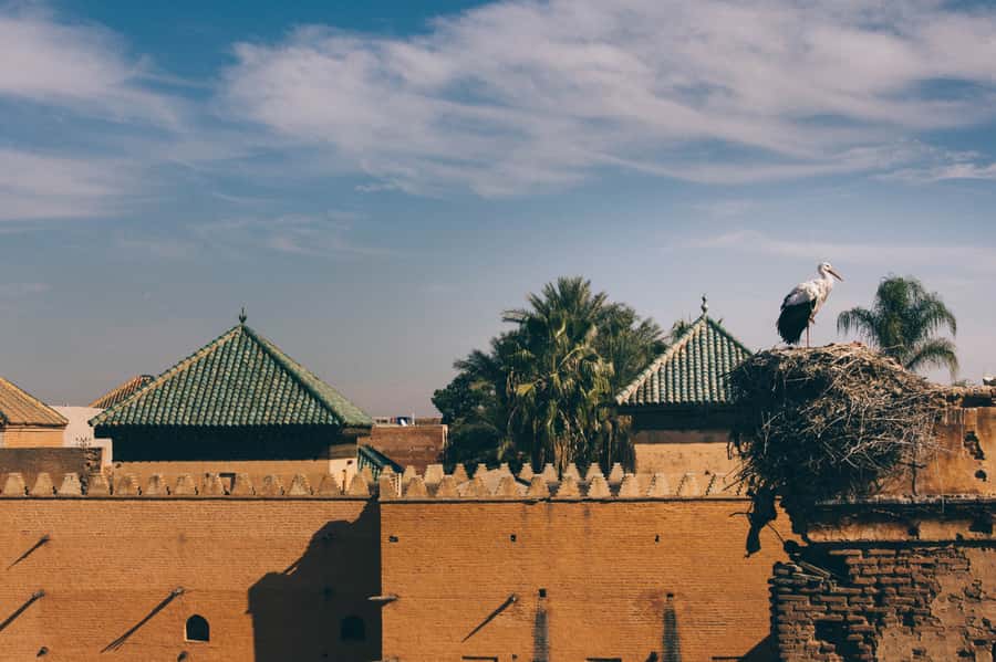 Private Tour: Half-Day Sightseeing Tour of Marrakech - Is $95 per person a fair price?