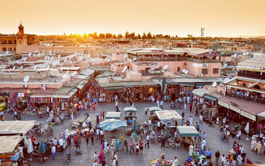 Private Tour: Half-Day Sightseeing Tour of Marrakech - Koutoubia Mosque and the city’s main landmark