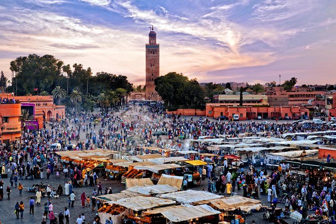 Private Tour: Marrakech Medina By Night - Guides who have made the strongest impression