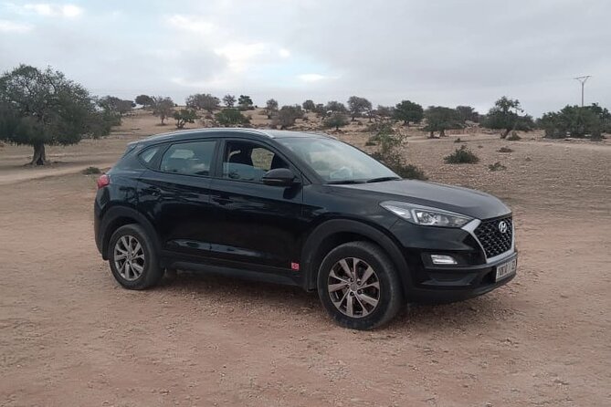 Private transfer Marrakech to Essaouira or Essaouira toMarrakech - Inside the vehicle: clean, private, and suited to small groups