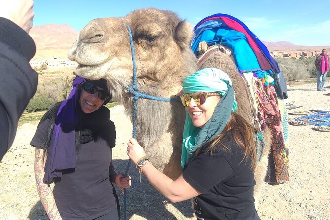 Private Transport from Chefchaouen to Tangier - What the price includes, and what it does not