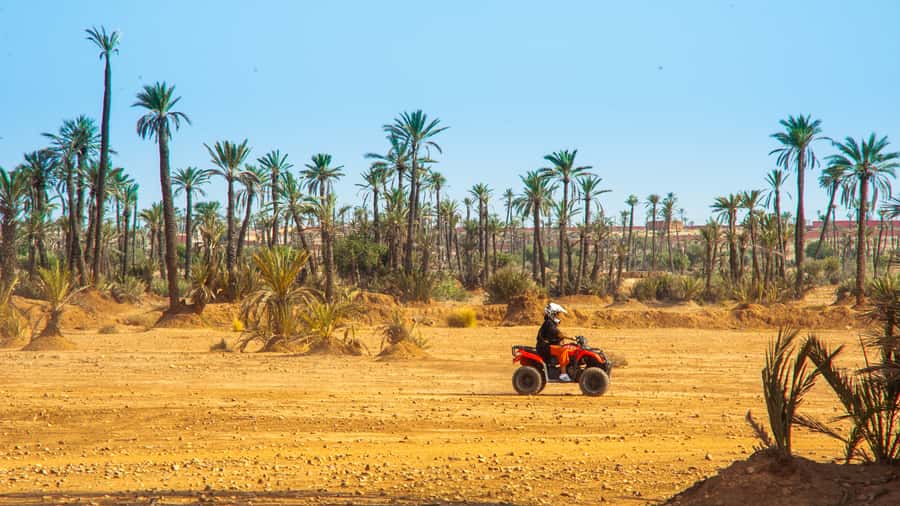 Quad Bike Activity in Marrakech Palmeraie - Guides, safety, and the feel of the group