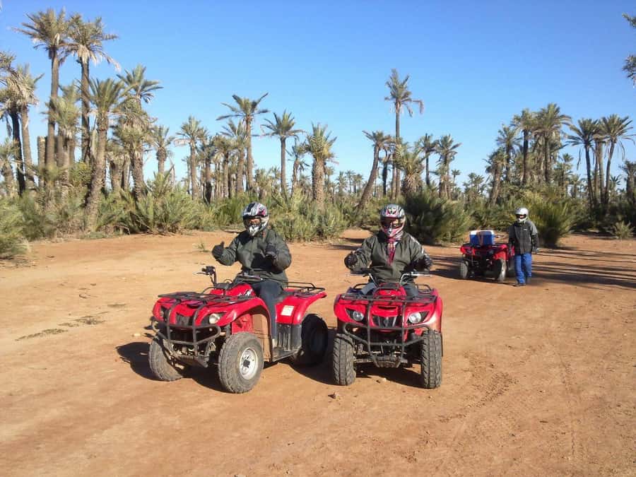 Quad Bike Activity in Marrakech Palmeraie - Who should book this Palmeraie ride?
