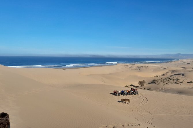 Quad Bike and Sandboarding on Sand Dunes Wild Beach - Three hours across Agadir’s changing terrain
