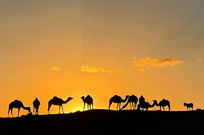 Quad Bike & Camel Ride & Dinner Show In Agafay Desert - Why Agafay works for a short desert evening