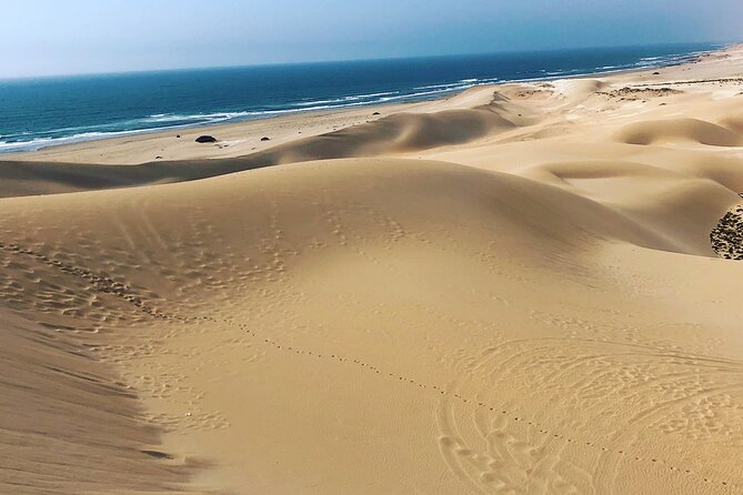 Quad Biking and Sandboarding on Sand Dunes Wild Beach - From Agadir to the open sands of Tifnit