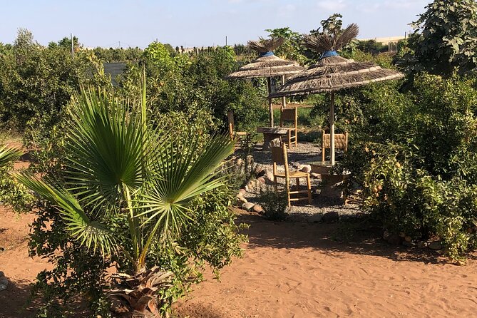 Quad Biking and Sandboarding on Sand Dunes Wild Beach - A useful local detail: argan oil and mint tea