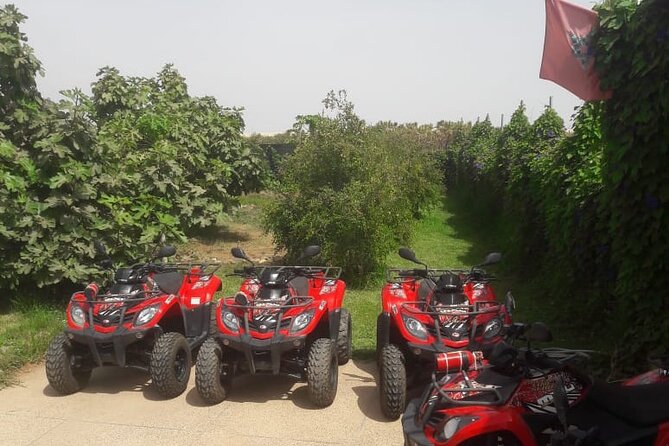 Quad Biking and Sandboarding on Sand Dunes Wild Beach - Sandboarding on Tifnit’s golden dunes
