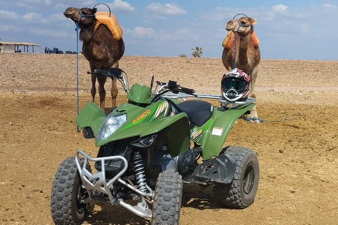 Quad in the Palmeraie of Marrakech - Riding among palms and desert plateaus