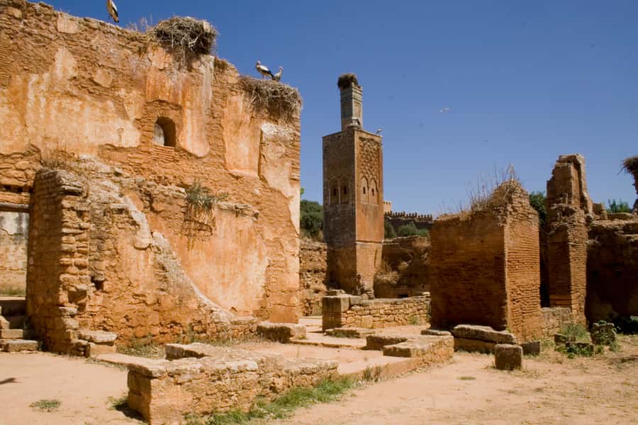 Rabat: Full-Day Trip from Casablanca - The free break and views toward Salé