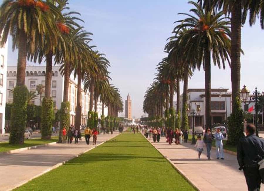 Rabat: Full-Day Trip from Casablanca - The Royal Palace and Rabat’s official face