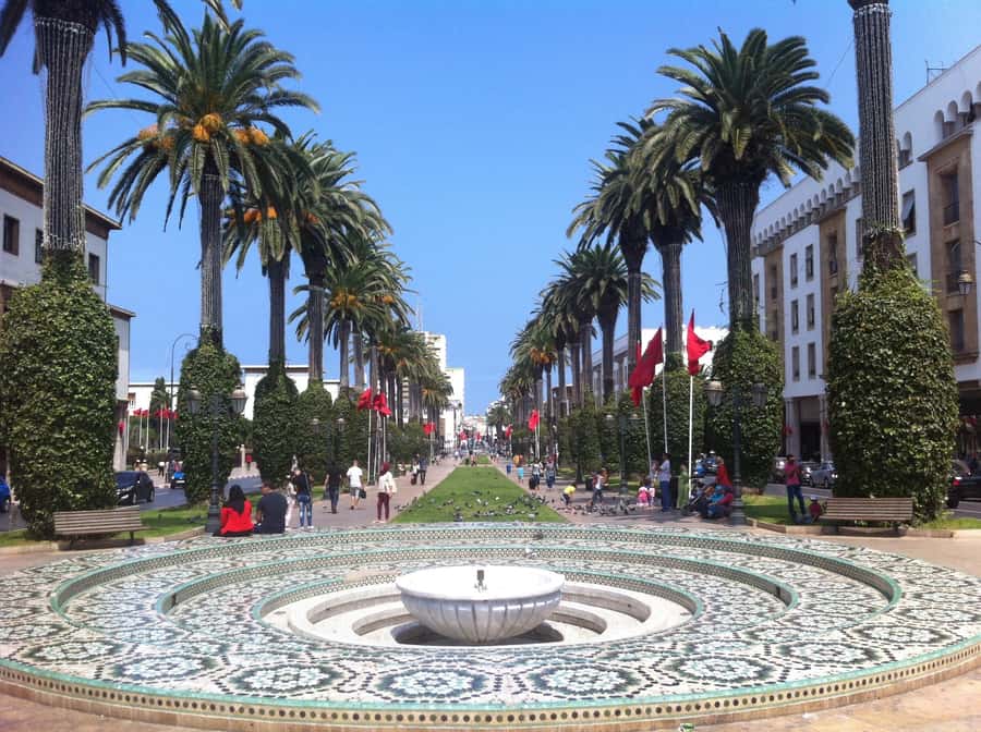 Rabat: Private Half-Day City Tour - Kasbah of the Udayas and the river outlook