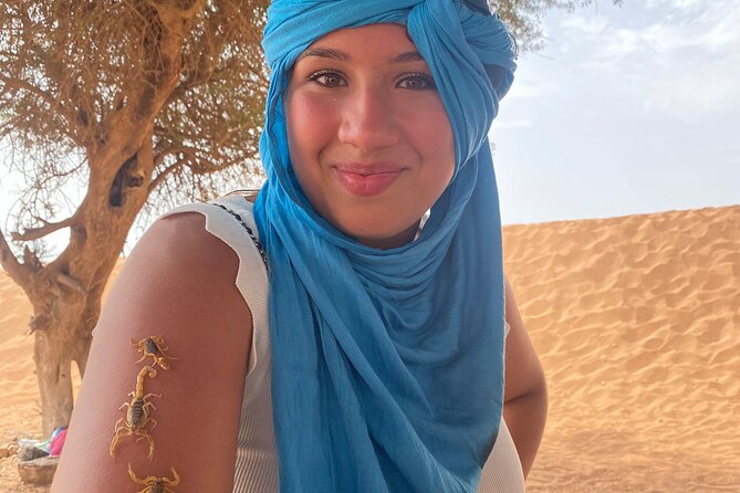 Sahara Day Trip from Agadir - The Youssef Ibn Tachfine dam viewpoint