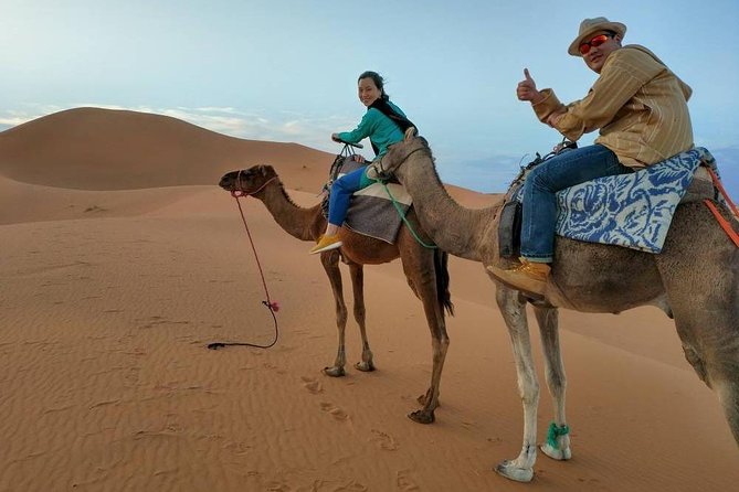 Sahara Desert Trip - 2 night 3 days - Fes to Marrakech OR Marrakech to Fes - Ouarzazate, Taourirt Kasbah, and Atlas Studios