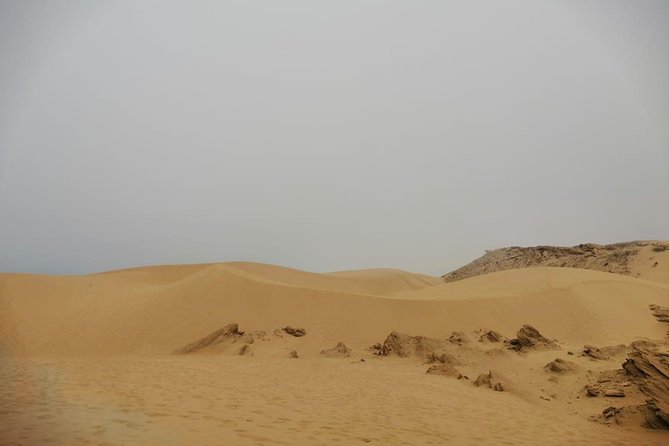 Sandboarding guided experience from Agadir - Why the oceanfront dunes make this more than a board rental