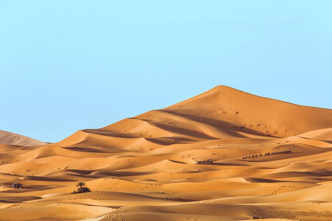 Shared Group Desert Tour Fes To Marrakech Via Merzouga 3 Days - Who should book this tour?