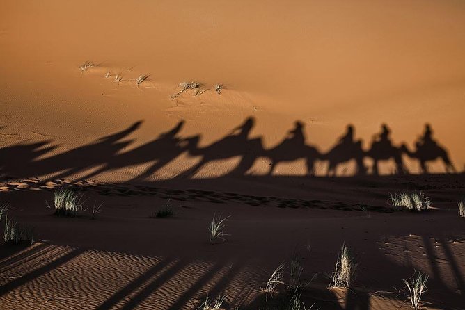 shared group Fez To Fez via Merzouga Desert Tour 2 Days/ 1 Night - Ifrane and the Middle Atlas on the first morning