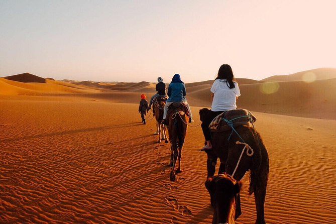 Shared Group Fez To Marrakech via Merzouga Desert Tour 2 Days - Leaving Fez at 7:30 am for the Middle Atlas