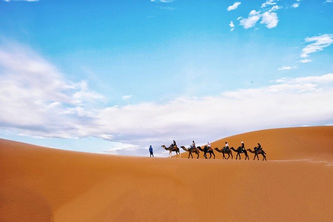 Shared Group Fez To Marrakech via Merzouga Desert Tour 2 Days - What the $493.81 price covers