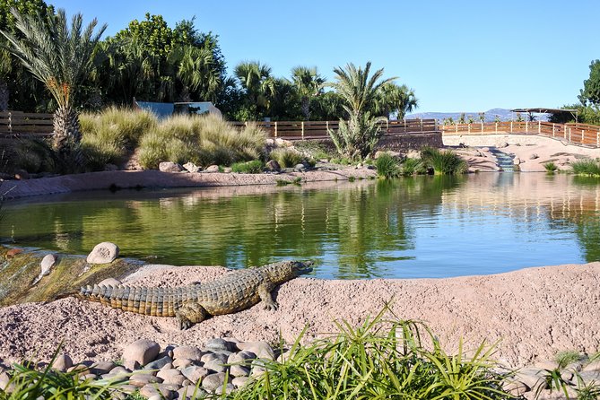 Skip the Line Ticket to Crocoparc with Optional Transfert - The Blue Garden starts the plant tour