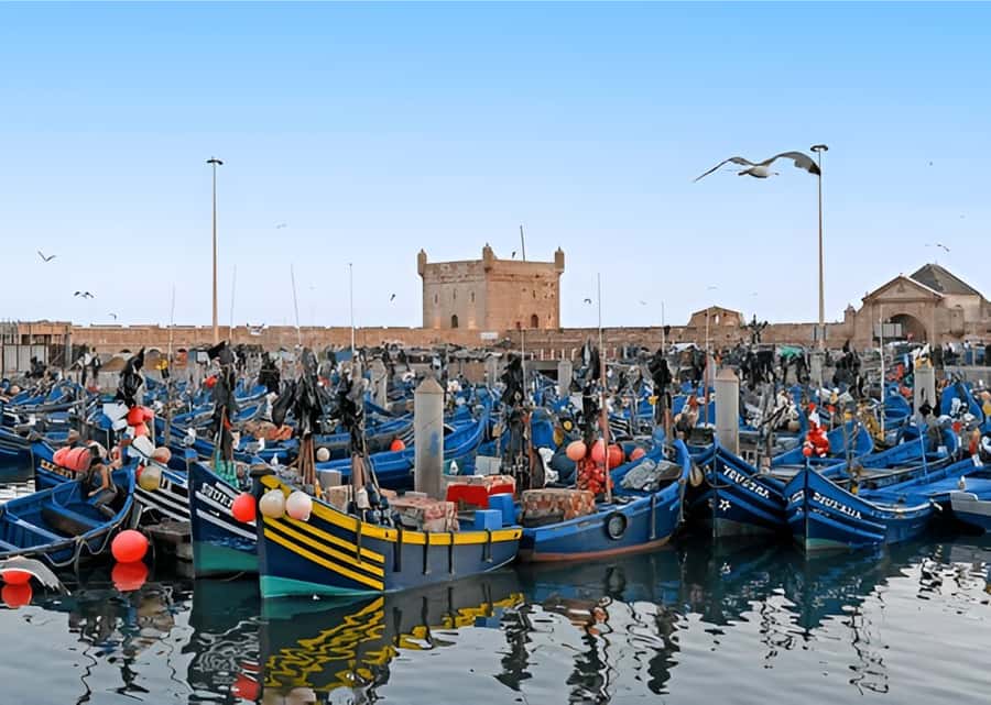 Small-Group Day Trip from Marrakech to Essaouira Mogador - Sidi Mokhtar and the first coffee break