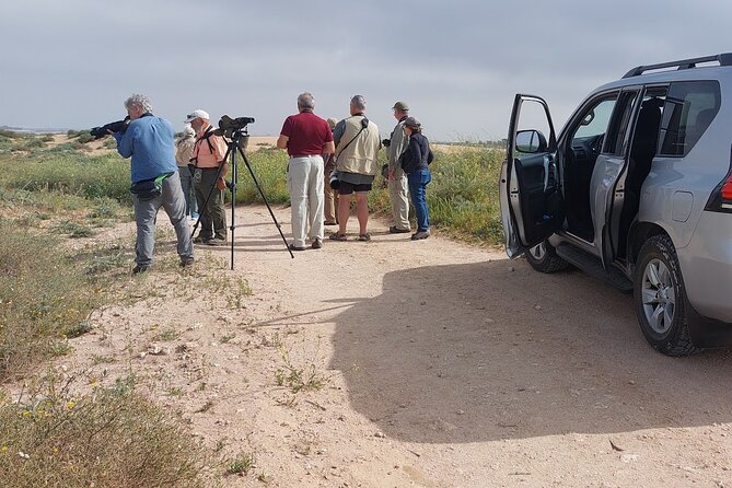 Souss Massa National Park Half Day Trip from Agadir - What makes this Agadir nature trip worth considering
