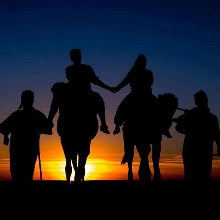 Sun set camel ride in palmerai of Marrakesh - Key points at a glance