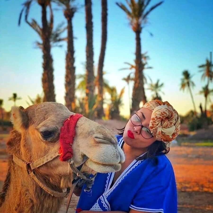 Sun set camel ride in palmerai of Marrakesh - What the Palmeraie ride is really like