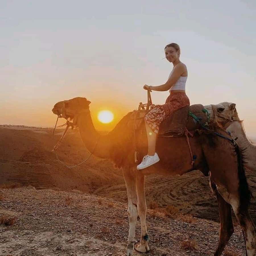 Sun set camel ride in palmerai of Marrakesh - From Marrakesh hotel to camel saddle