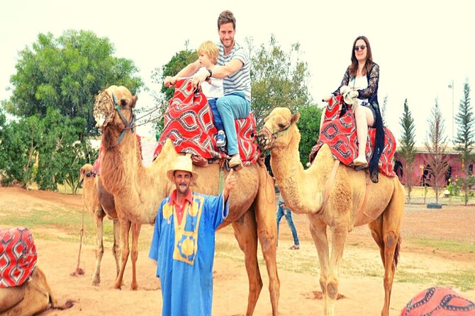 Sunset camel ride and barbecue dinner in Agadir - Key points at a glance