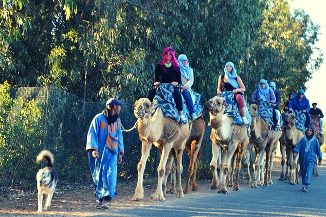 Sunset camel ride and barbecue dinner in Agadir - Riding through Aghroud Bensergao