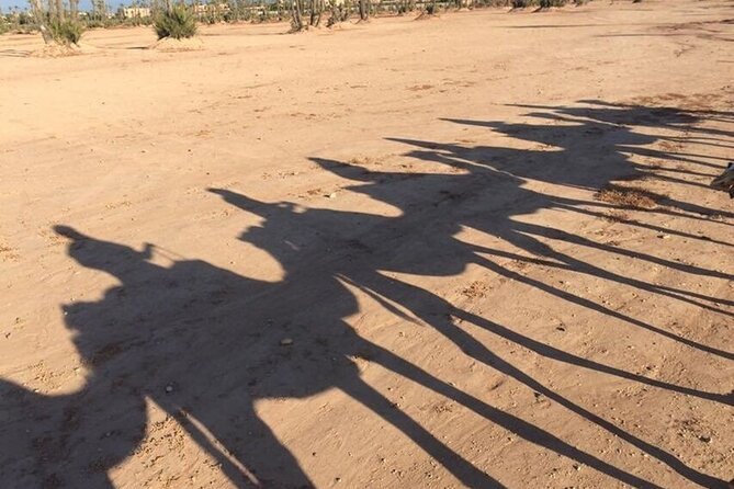 Sunset Camel Ride in Agadir or Taghazout With Transfers - Riding from the ranch toward the Souss River