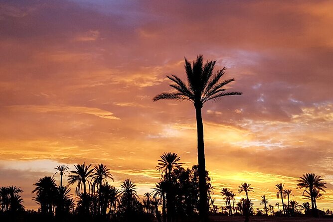 Sunset Camel Ride in Agadir or Taghazout With Transfers - Sunset timing needs careful planning