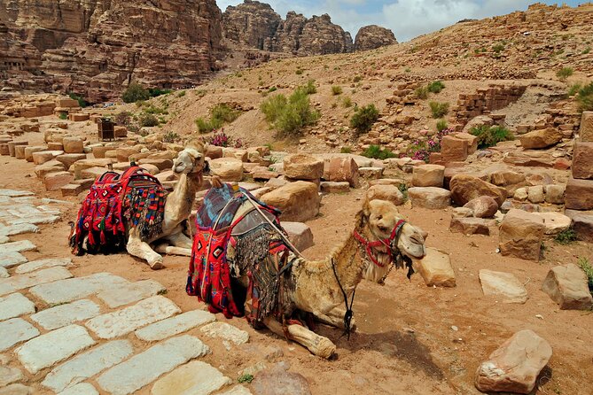 Sunset Camel Ride in Agadir or Taghazout With Transfers - What the ride feels like for children and nervous riders