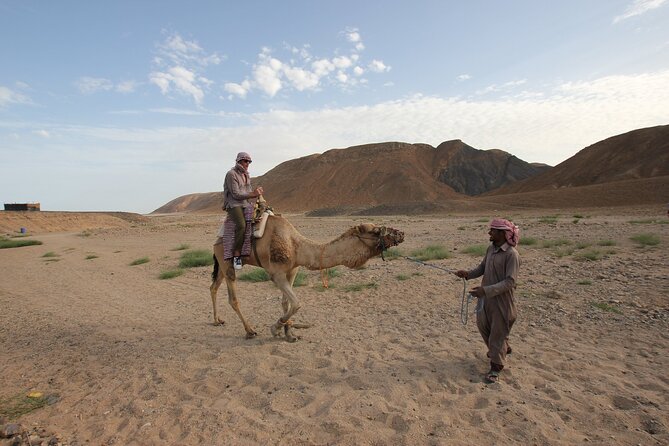 Sunset Camel Ride in Agadir or Taghazout With Transfers - Mint tea, biscuits, and the end of the ride