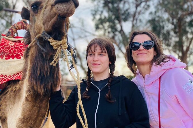 Sunset Camel Ride in Agadir with Dinner in Habitant House - Is $29.04 Good Value?