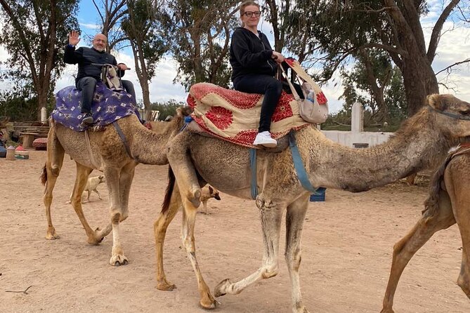 Sunset Camel Ride in Agadir with Dinner in Habitant House - Should You Book It?