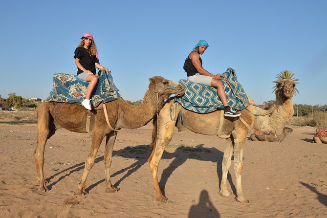 Sunset camel ride in Agadir with transport, tea and cakes. - The route from Agadir to the Souss River