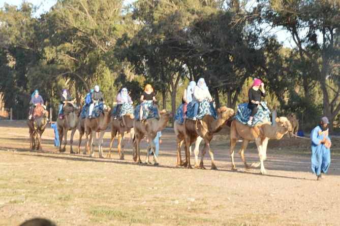 Sunset camel ride in Agadir with transport, tea and cakes. - The river mouth and possible flamingos