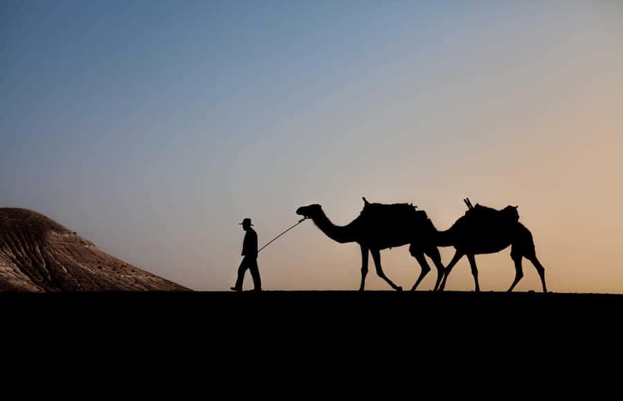 Sunset Camel Ride in Agafay Desert with dinner and pool - Meeting the camels and starting the one-hour ride