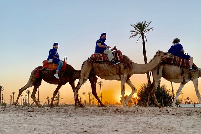 Sunset Camel Ride in the Palm Grove of Marrakech - Choosing your Touareg clothing and meeting the camels