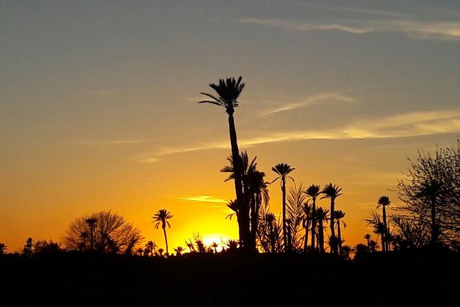 Sunset Camel Ride in the Palm Grove of Marrakech - Timing, group size, and cancellation details