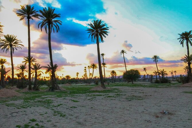 Sunset Camel Ride in the Palm Grove Of Marrakech - Booking and Cancellation Practicalities