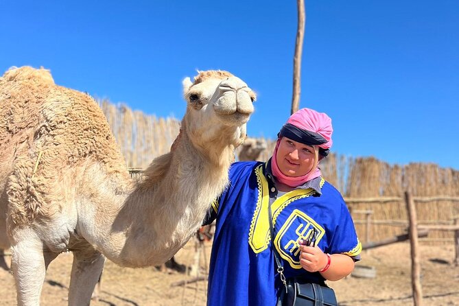 Sunset Camel Ride tour with Barbecue dinner in the beach - Reaching Tamri beach at golden hour