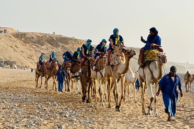Sunset Camel Ride tour with Barbecue dinner in the beach - What the $69.69 price really buys